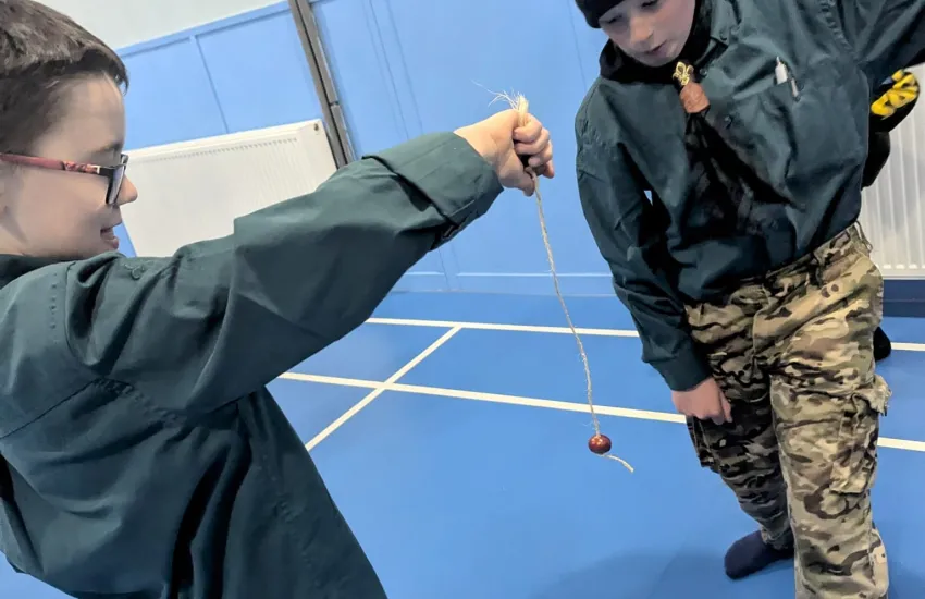 scouts playing conkers