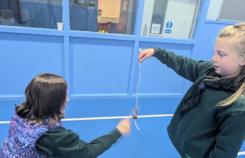 cubs playing conkers