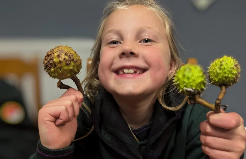 a cub with her conkers