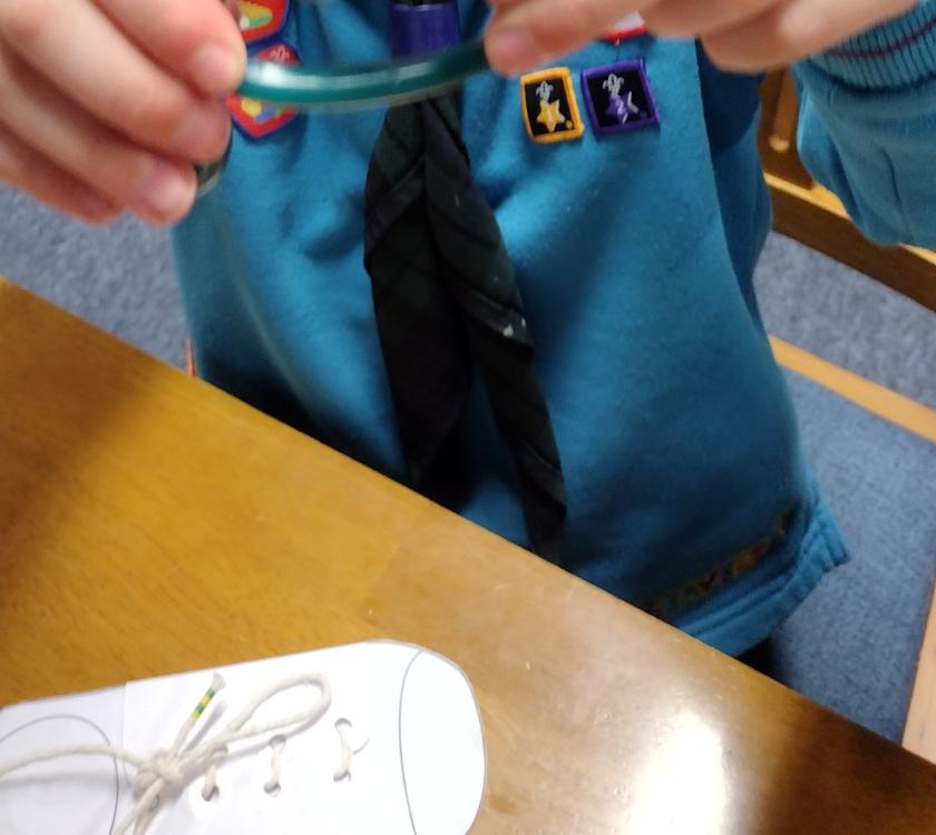 Beavers tying knots