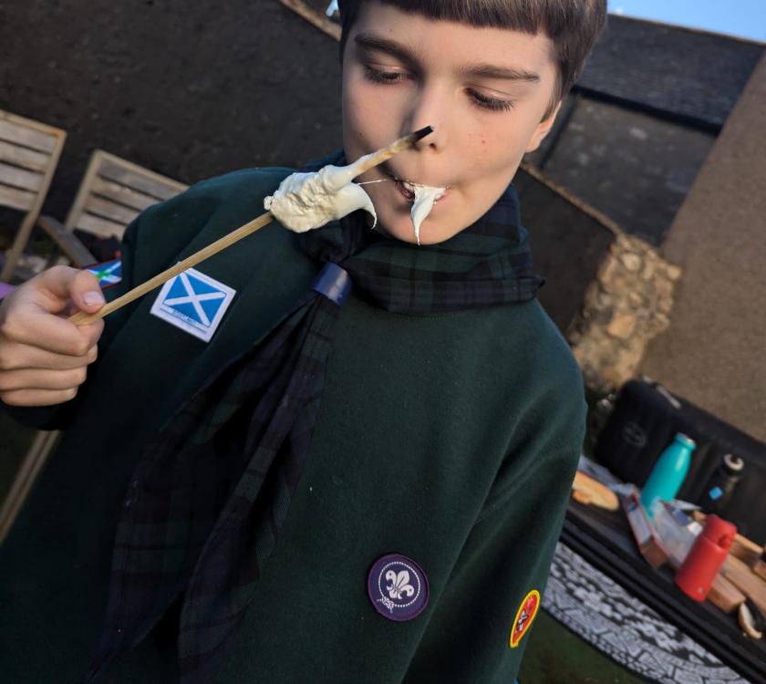 A cub eating toasted marshmallow
