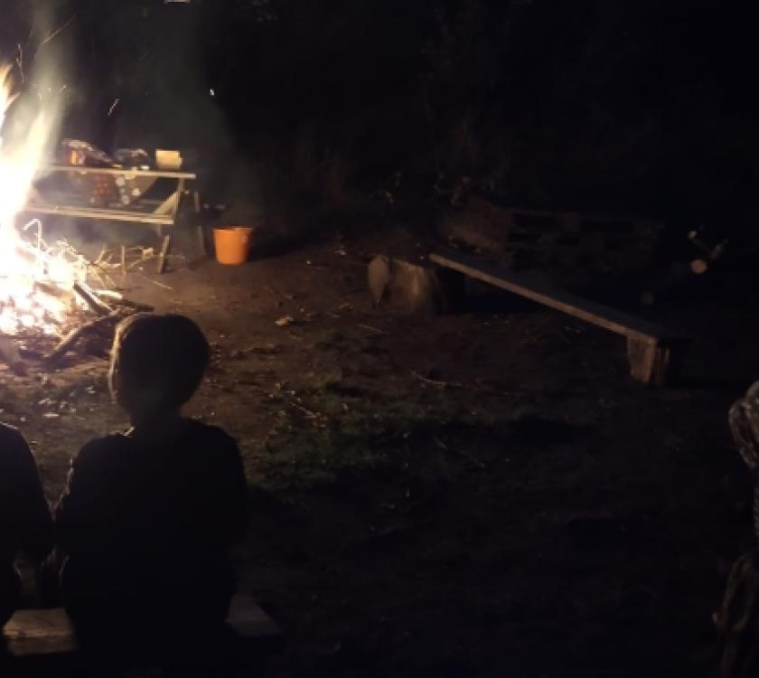 beavers sitting by a campfire in the dark