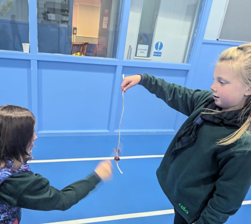 cubs playing conkers