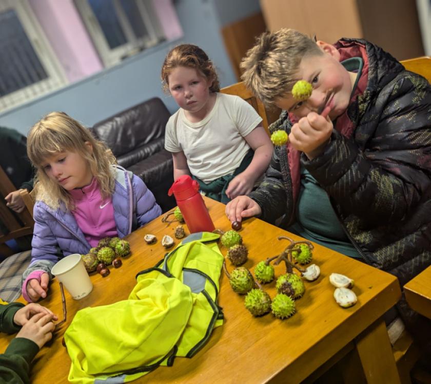 cubs preparing conkers