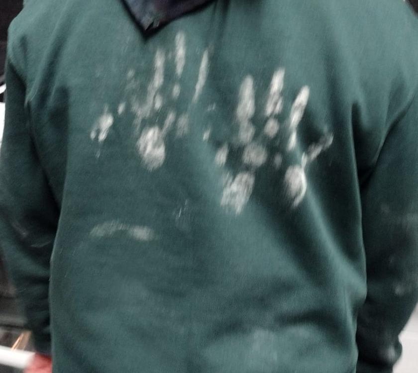 a cubs with flour handprints on their back